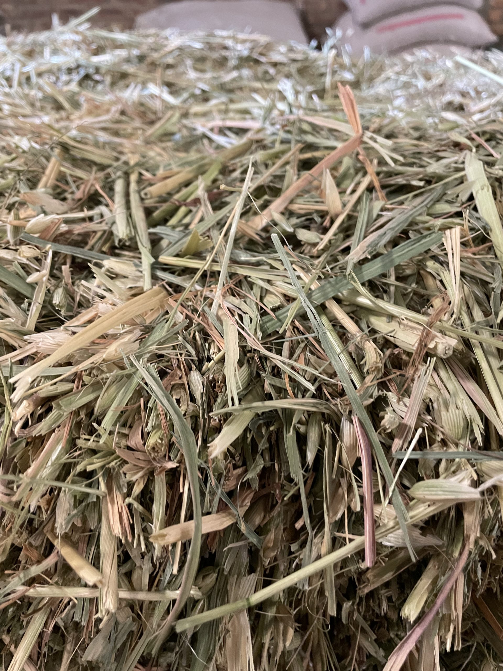 Oat Hay Squares